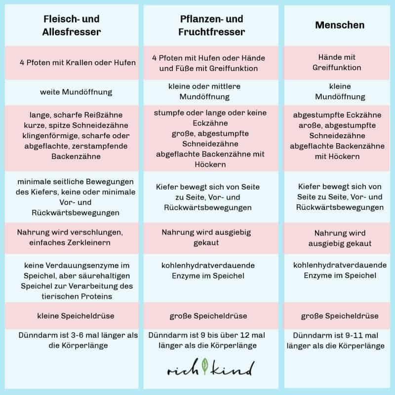 ein Vergleich zwischen Fleisch- und Allesfressern, Pflanzen- und Fruchtfressern und Menschen