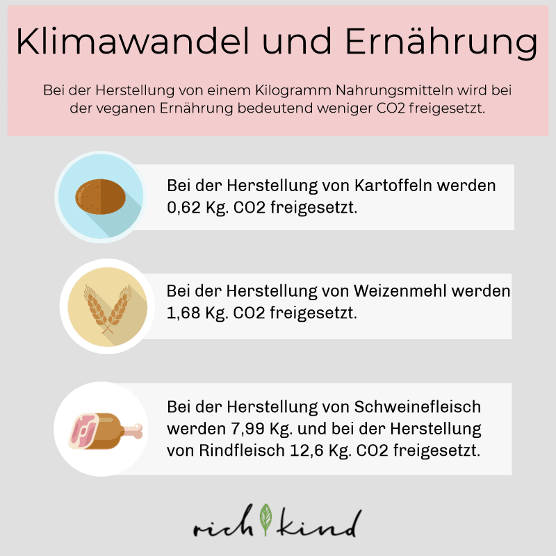 Durch vegane Lebensmittel wird wenig CO2 freigesetzt